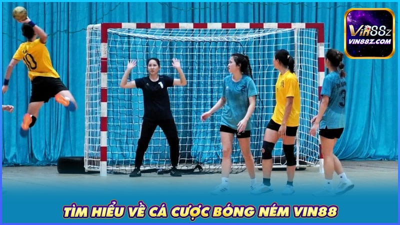 Tìm hiểu về cá cược bóng ném VIN88